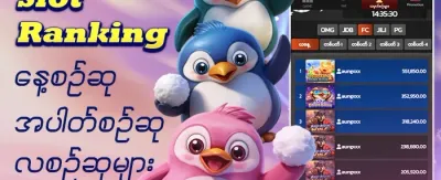အဆင့်မြင့် VIP အစီအစဉ် promotion
